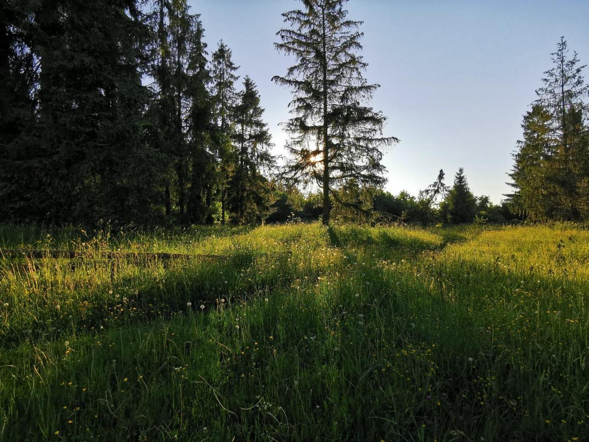 To Tu Apartamento Czarna Góra Exterior foto
