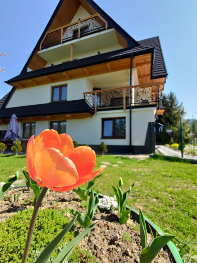 To Tu Apartamento Czarna Góra Exterior foto